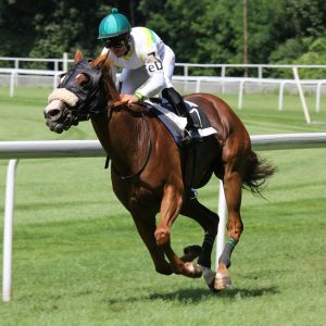 Chester Racecourse
